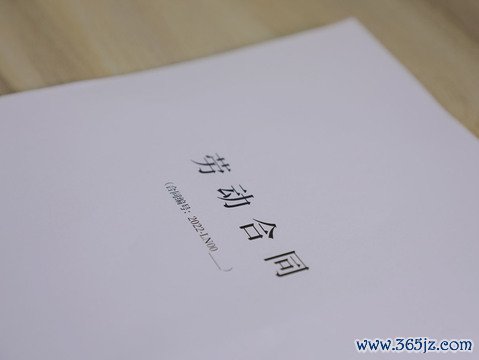 劳动合同不成立