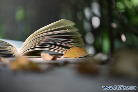 企业调岗